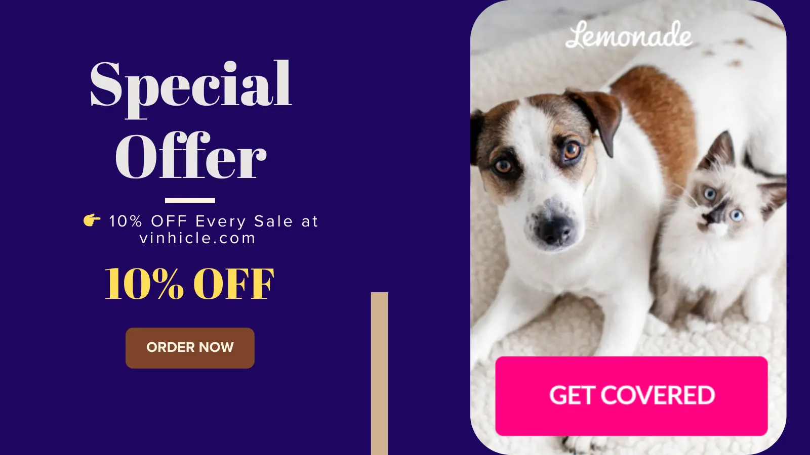 LetInsured logo – Insurance comparison for pets, cars, and rentals in the US & Canada